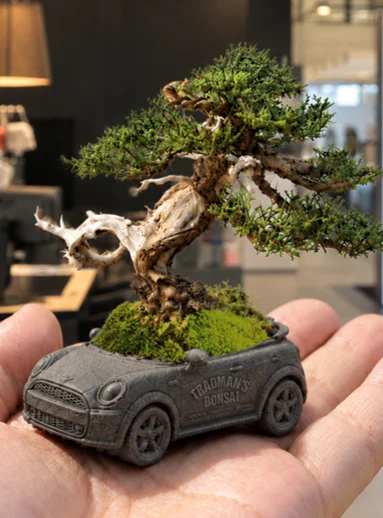 A small bonsai in a MINI-shaped pot held in a hand
