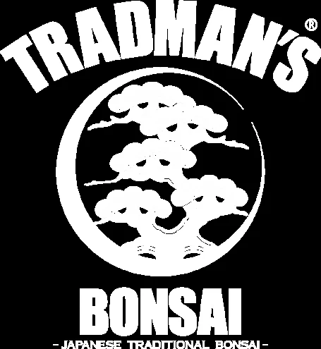 TRADMAN’S BONSAI