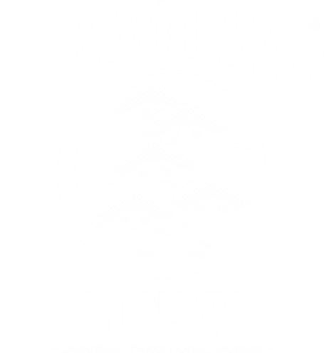 TRADMAN’S BONSAI