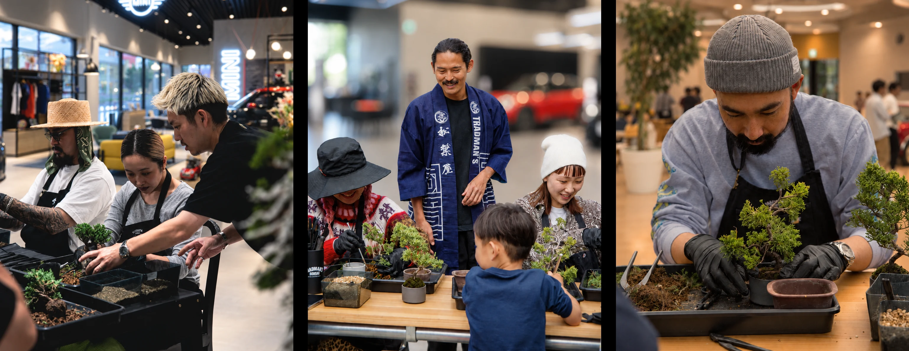 Participants learning to shape bonsai in a TRADMAN’S workshop
